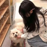 海水消消乐游戏下载